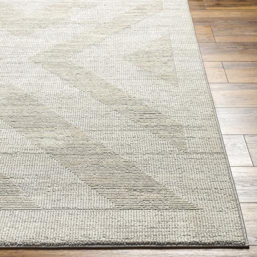 Surya Alder ALD-2311 Cream Gray 5' x 7' Rug