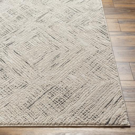 Surya Alder ALD-2313 Black Ivory 6'3" x 9' Rug