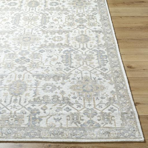 Surya Aleyna ANE-2301 6' x 9' Rug