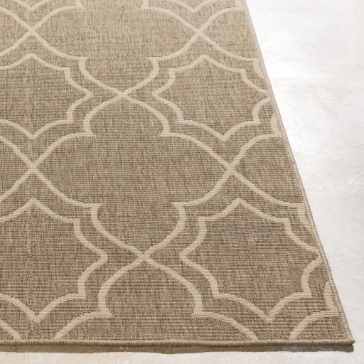 Surya Alfresco ALF-9587 8'10" x 12'10" Rug