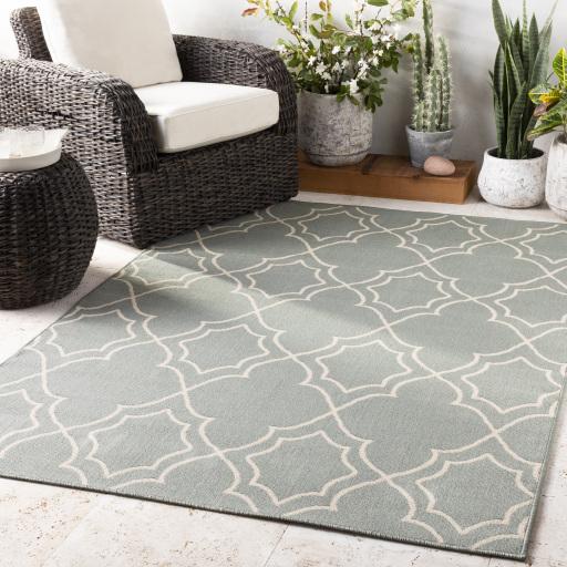 Surya Alfresco ALF-9589 Dusty Sage Light Beige 3'7" x 5'7" Rug