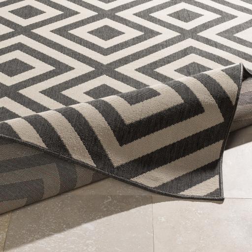 Surya Alfresco ALF-9639 2'5" x 4'5" Rug