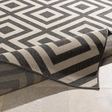 Surya Alfresco ALF-9639 2'5" x 4'5" Rug