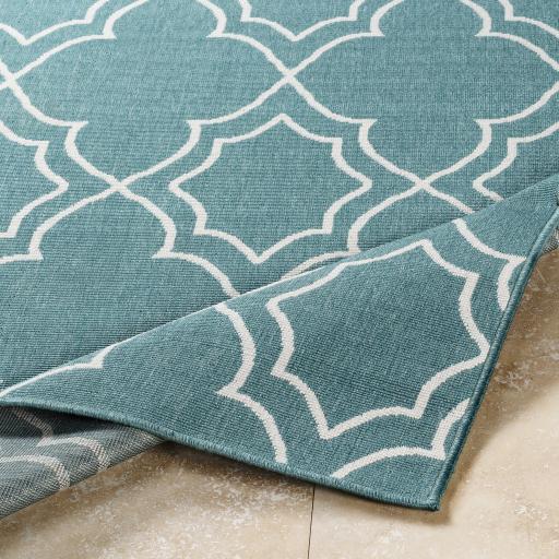 Surya Alfresco ALF-9653 8'10" Square Rug