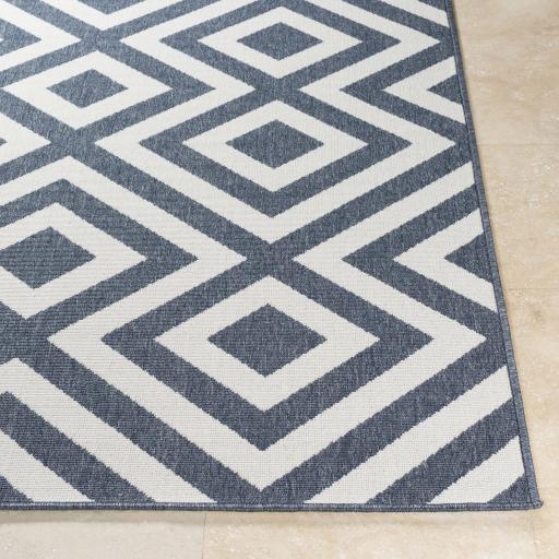 Surya Alfresco ALF-9657 8'10" Square Rug