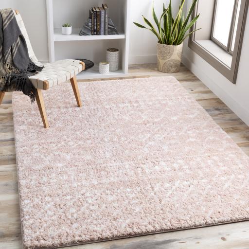 Surya Aliyah Shag ALH-2300 2' x 2'11" Rug