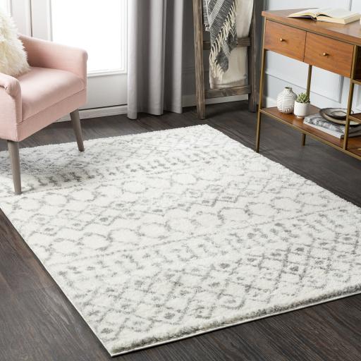 Surya Aliyah Shag ALH-2302 2' x 2'11" Rug