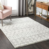 Surya Aliyah Shag ALH-2302 2' x 2'11" Rug