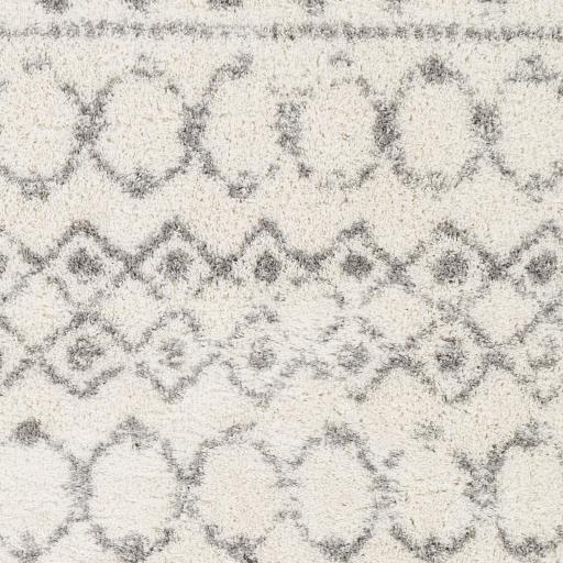 Surya Aliyah Shag ALH-2302 2' x 2'11" Rug