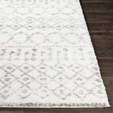 Surya Aliyah Shag ALH-2302 Cream Gray 7'10" x 10' Rug