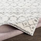 Surya Aliyah Shag ALH-2302 7'10" x 10' Rug