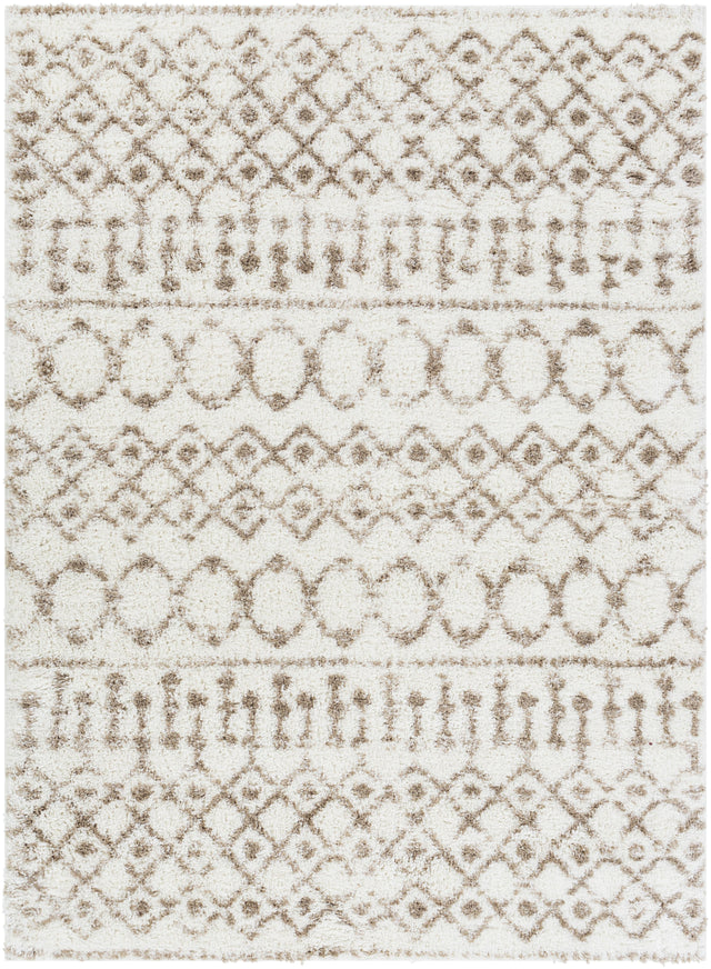 Surya Aliyah Shag ALH-2303 2' x 2'11" Rug