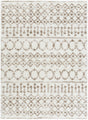 Surya Aliyah Shag ALH-2303 2' x 2'11" Rug