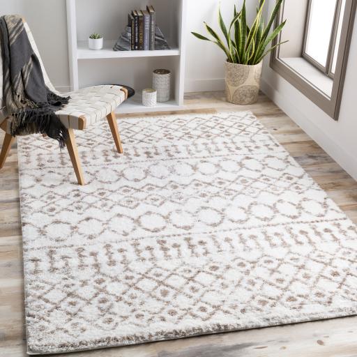 Surya Aliyah Shag ALH-2303 2' x 2'11" Rug