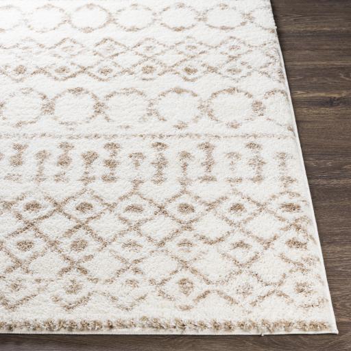 Surya Aliyah Shag ALH-2303 2' x 2'11" Rug