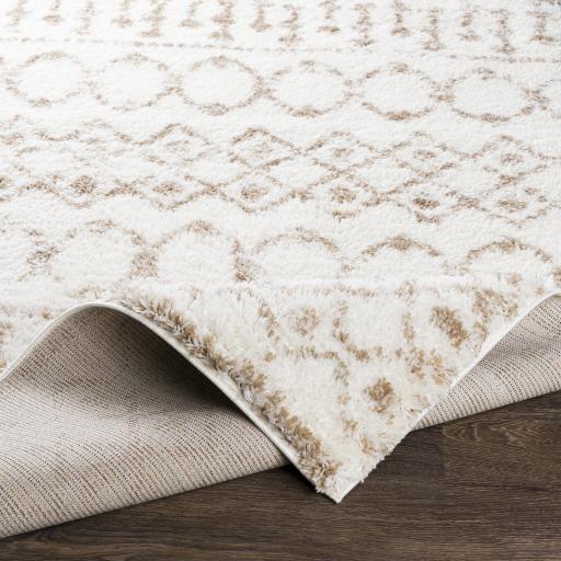 Surya Aliyah Shag ALH-2303 2' x 2'11" Rug