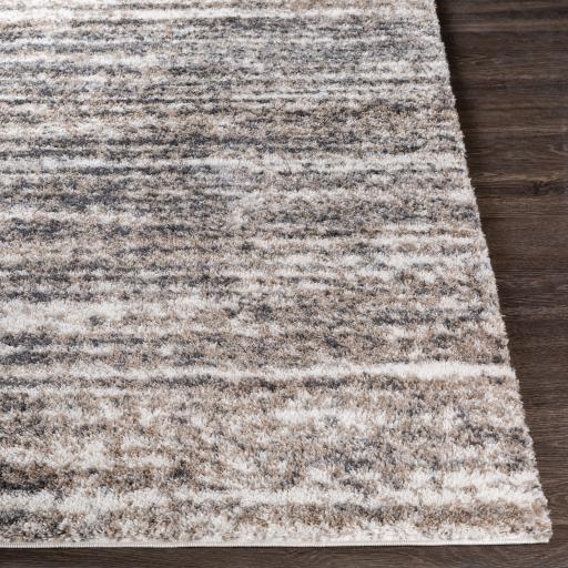 Surya Aliyah Shag ALH-2307 2' x 2'11" Rug