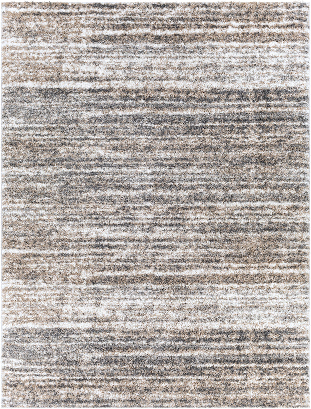 Surya Aliyah Shag ALH-2307 6'7" x 9' Rug