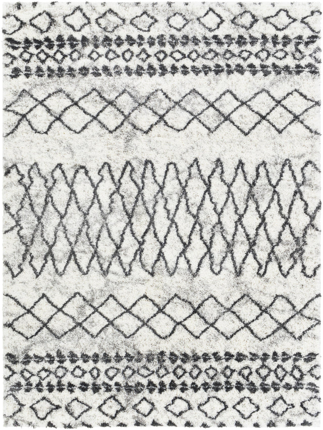 Surya Aliyah Shag ALH-2311 6'7" x 9' Rug