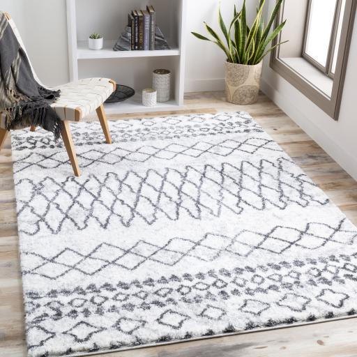 Surya Aliyah Shag ALH-2311 6'7" x 9' Rug