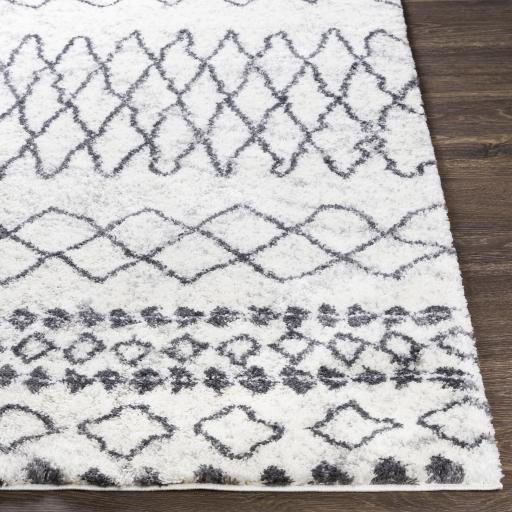 Surya Aliyah Shag ALH-2311 6'7" x 9' Rug
