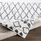 Surya Aliyah Shag ALH-2311 6'7" x 9' Rug