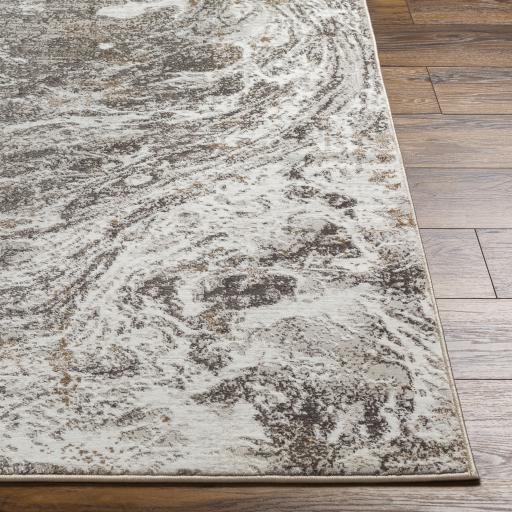 Surya Allegro Plus AGP-2300 Amber Charcoal 4' x 6' Rug