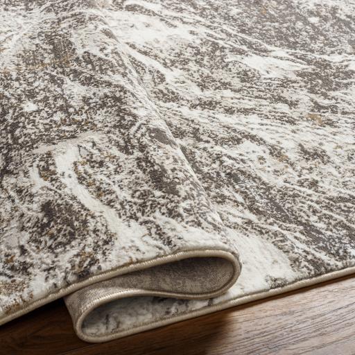 Surya Allegro Plus AGP-2300 4' x 6' Rug