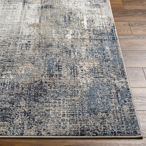 Surya Allegro Plus AGP-2306 Amber Ivory 4' x 6' Rug