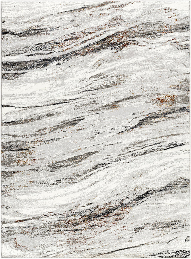 Surya Allegro Plus AGP-2307 9'2" x 12' Rug