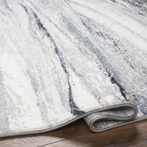 Surya Allegro Plus AGP-2308 4' x 6' Rug