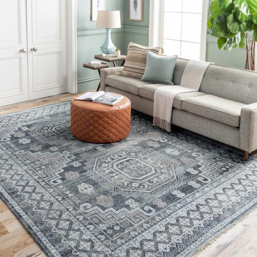 Surya Almeria ALM-2300 2' x 3' Rug