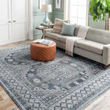Surya Almeria ALM-2300 2' x 3' Rug