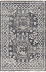 Surya Almeria ALM-2300 2' x 3' Rug