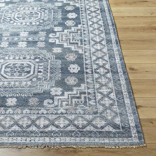 Surya Almeria ALM-2300 2' x 3' Rug