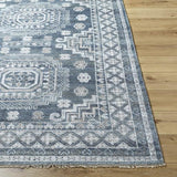 Surya Almeria ALM-2300 2' x 3' Rug