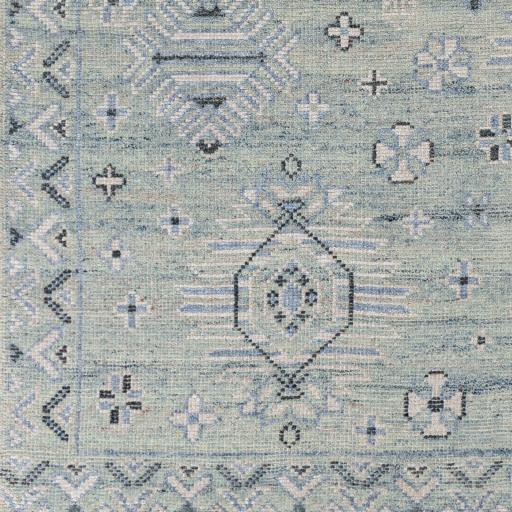 Surya Almeria ALM-2302 2' x 3' Rug
