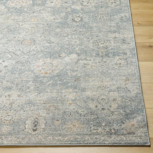 Surya Alpharetta APH-2319 Amber Blue 9'2" x 12' Rug