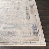 Surya Alpine ALP-2300 Charcoal Gray 2' x 2'11" Rug