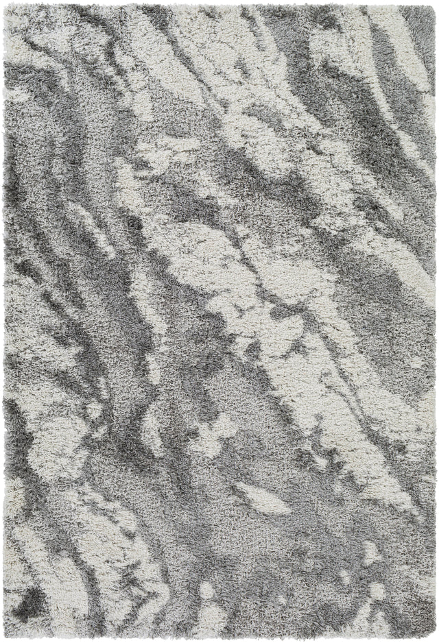 Surya Alta Shag ASG-2301 2' x 2'11" Rug