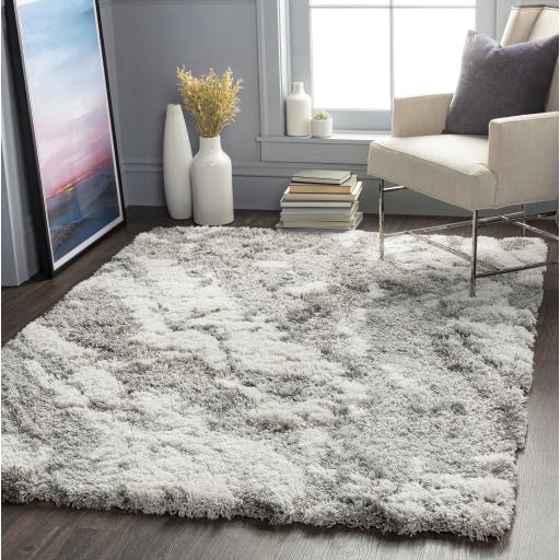 Surya Alta Shag ASG-2301 6'7" x 9' Rug