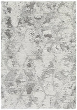 Surya Alta Shag ASG-2302 2' x 2'11" Rug