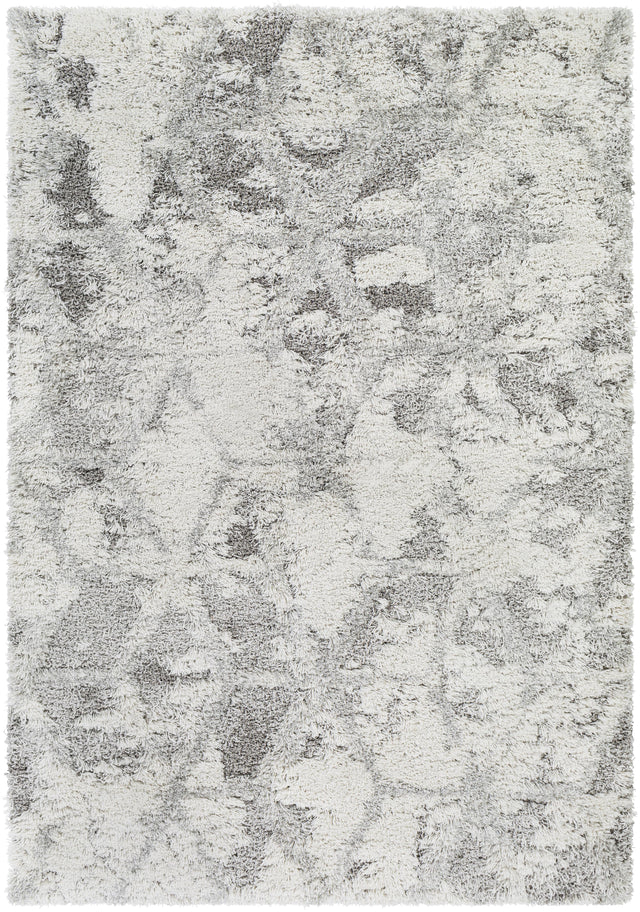 Surya Alta Shag ASG-2302 2' x 2'11" Rug
