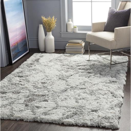 Surya Alta Shag ASG-2302 2' x 2'11" Rug
