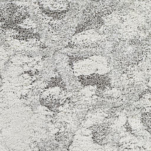 Surya Alta Shag ASG-2302 2' x 2'11" Rug