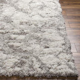 Surya Alta Shag ASG-2302 8'10" x 12' Rug