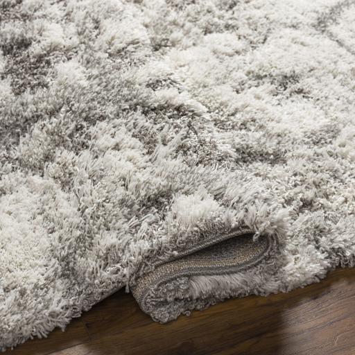 Surya Alta Shag ASG-2302 8'10" x 12' Rug