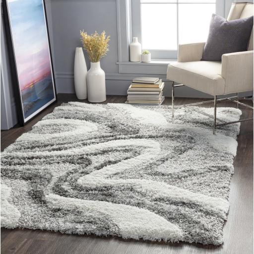 Surya Alta Shag ASG-2303 2' x 2'11" Rug