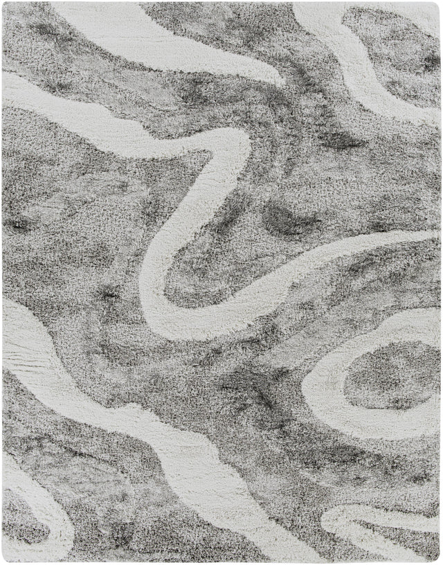 Surya Alta Shag ASG-2303 5'3" x 7' Rug