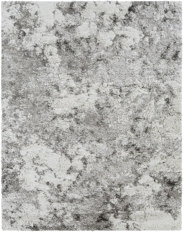 Surya Alta Shag ASG-2304 6'7" x 9' Rug